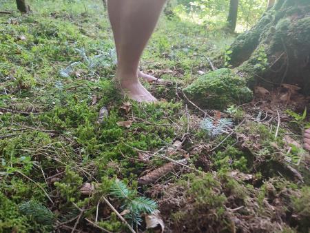 Pohodniški vikend v tuhinjski dolini z novimi gozdnimi doživetji (10)